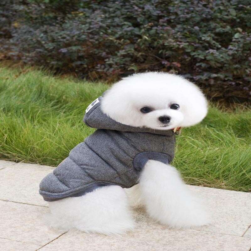 Hiver chien vêtements manteau Moustache veste salopette pour petits chiens moyens chat doux sweats à capuche extérieur Costume vêtements