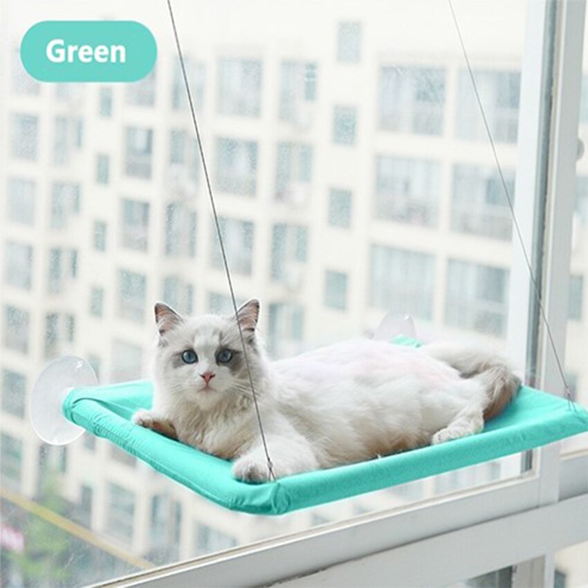 Hamac pour animaux de compagnie, lit-balançoire suspendu, siège de repos, perchoir, fenêtre, confortable, 20kg: Green