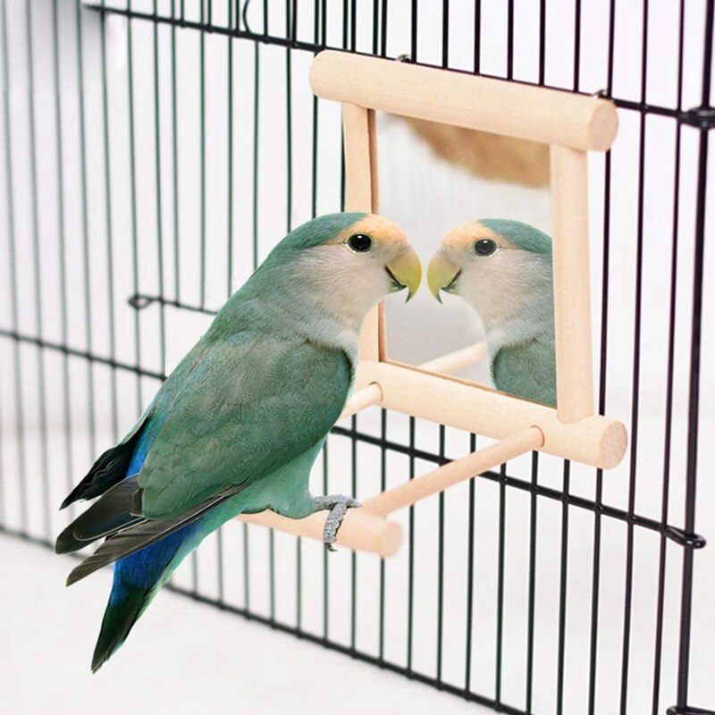 2 Packs of Finch Parrots with Swaying Bird Mirror Bird Perch Standing Pole
