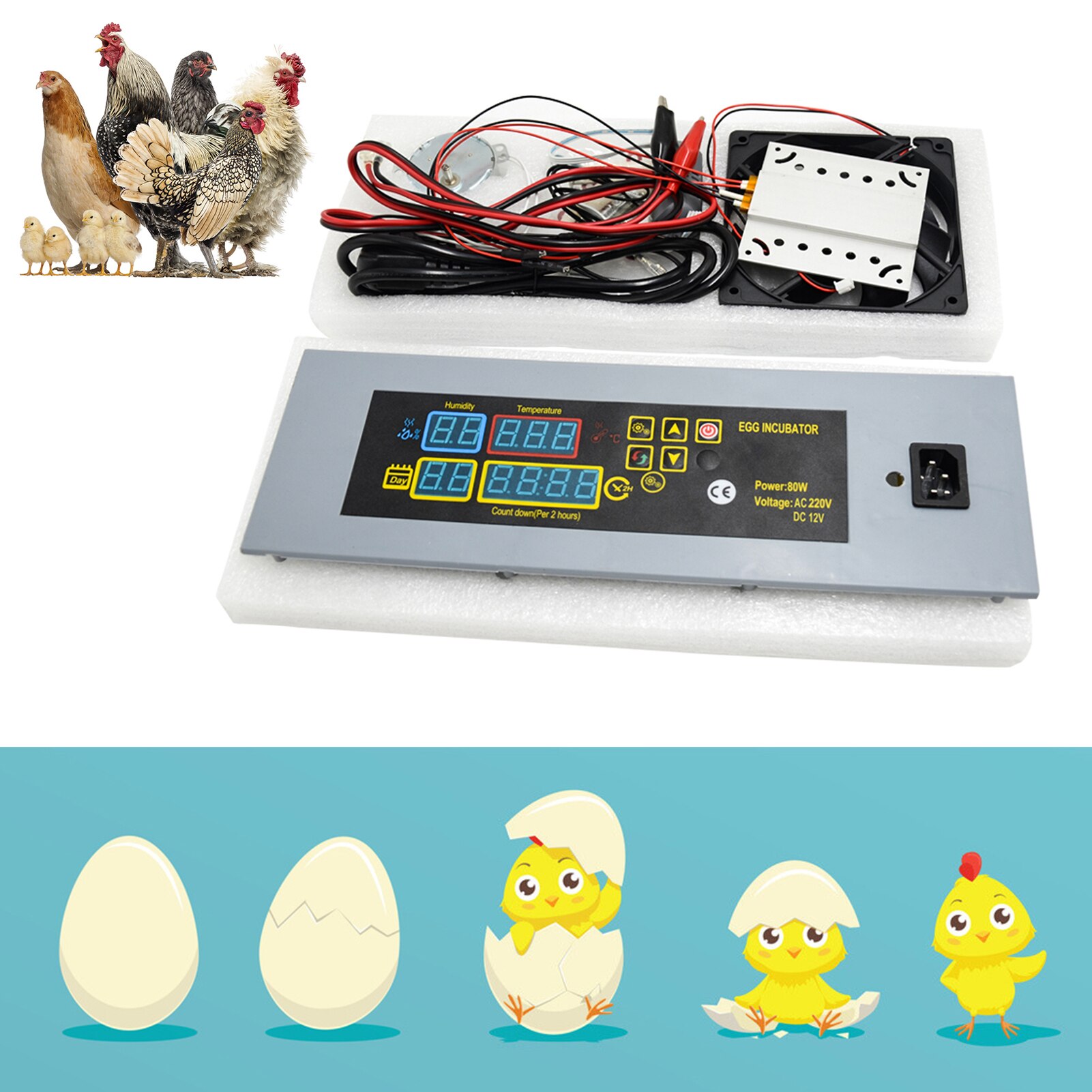 DIY Egg Incubators Hatcher Controller Dual Power Supply DIY Mini Incubators Accessory Set TP