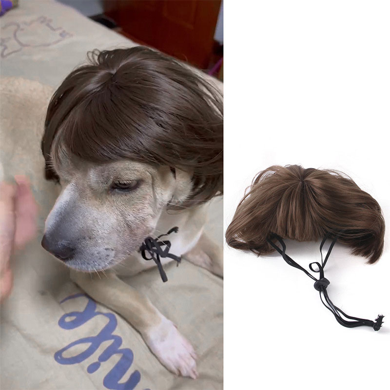 Huisdier Pruiken Cosplay Props Hond Kat Cross-Dressing Haar Set Fotografie Grappige Rekwisieten Hoofdaccessoires Prank Dierbenodigdheden Kostuums DIY