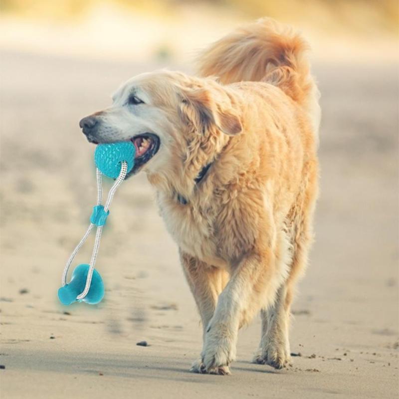 Multifunctionele Huisdier Molaire Beet Hond Speelgoed Bijten Speelgoed Schoonmaken Tanden Rubber Chew Bal Huisdier Speelgoed met Zuignap Huisdier Tand schoonmaken