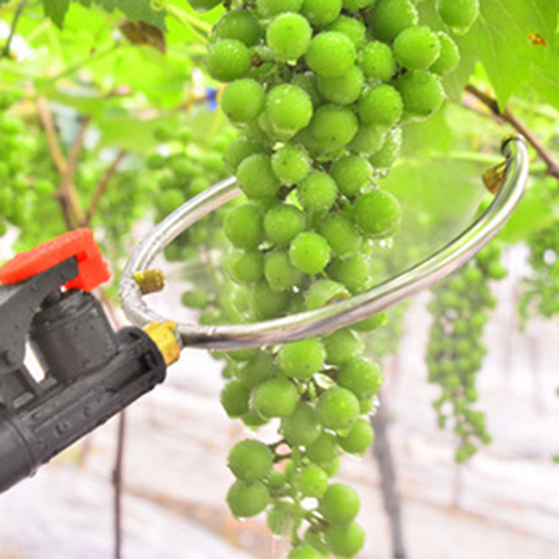 Pesticide Sprayer Grape Agricultural Fruit Promoting Tools Kiwi Swelling Raise Yield Ultra Fine Mist Nozzle High-Pressure