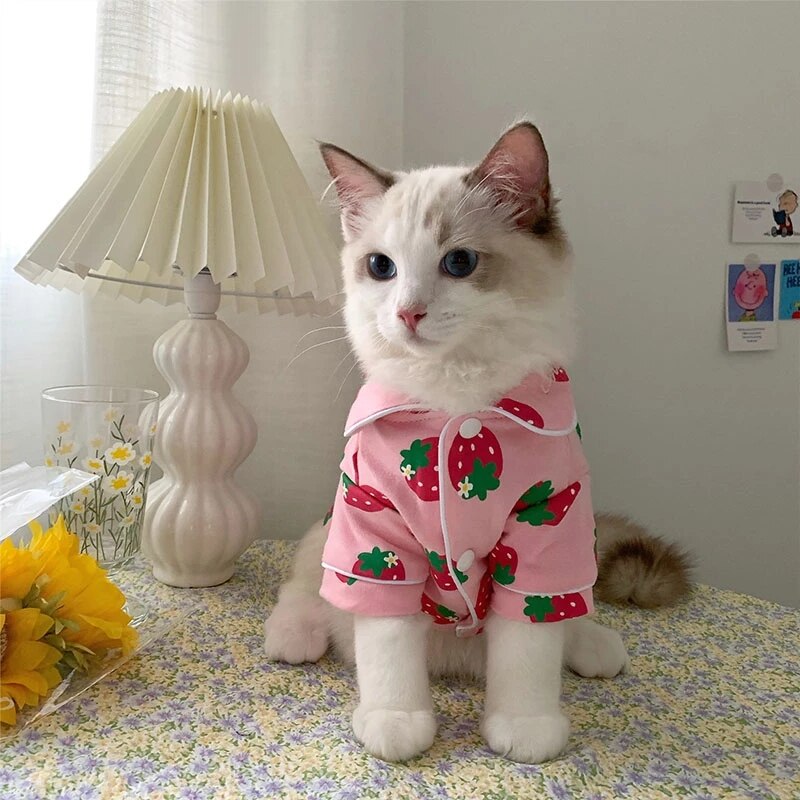 Spring Cat Costume Cute Cozy Pet Clothes for Cats 2022 Hoodie Sweatshirt Cat Sweater Pets Clothing Outfit: Pink / XS