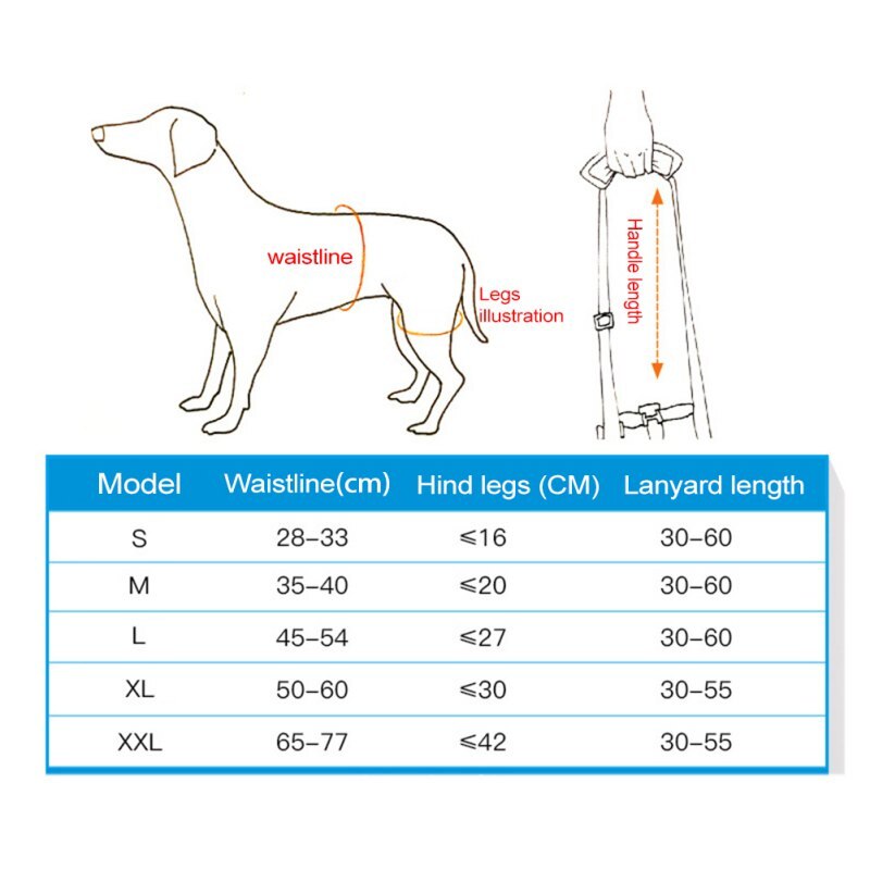 Adjustable Dog Support Sling Help Weak Legs Stand Up Dog Lift Harness for Back Legs Pet Dogs Leash Aid Assist Tool