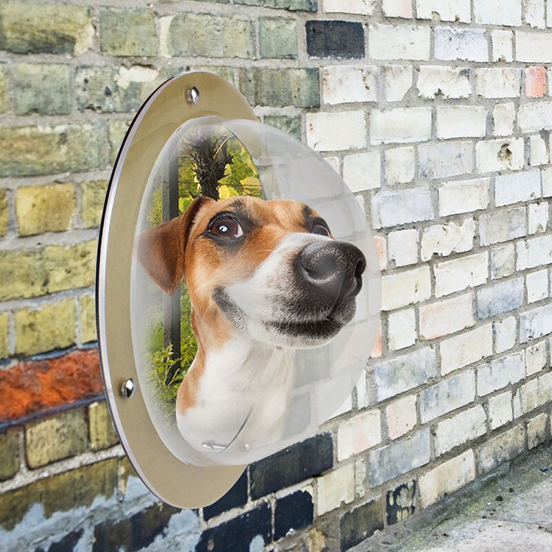 Mascota perro gato puerta rampas espacio ventana para la puerta de seguridad de la pared puerta de la aleta mascota túnel mirilla perro valla ventana para el hogar tratar mascota Autismo
