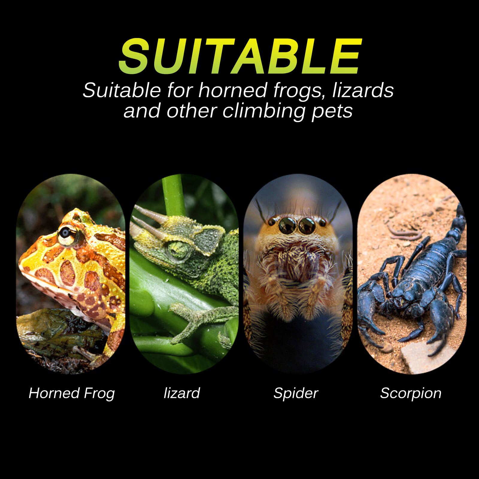 Breathable Mesh Reptile Hammock Triangular Hanging Reptile Hammock Practical Reptile Hanging Bed with Suction Cup Lizard Gecko