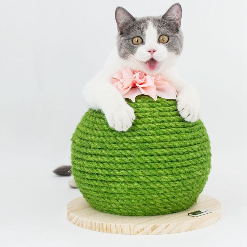 Kat kradsebræt pricky pear kattelegetøj til killing kaktus kat produkt kradsepude sisal kat kradse spil dekoration