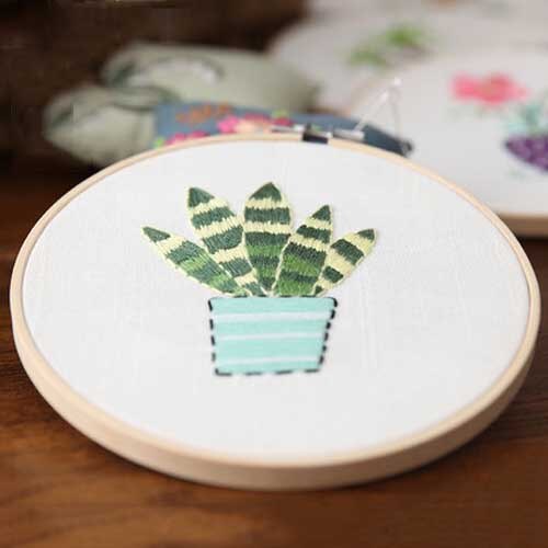 Simple Plant Flower Embroidery Kits for Beginner with 15cm Bamboo Hoop Flower Pattern Needlework Cross Stitch Swing Painting: e