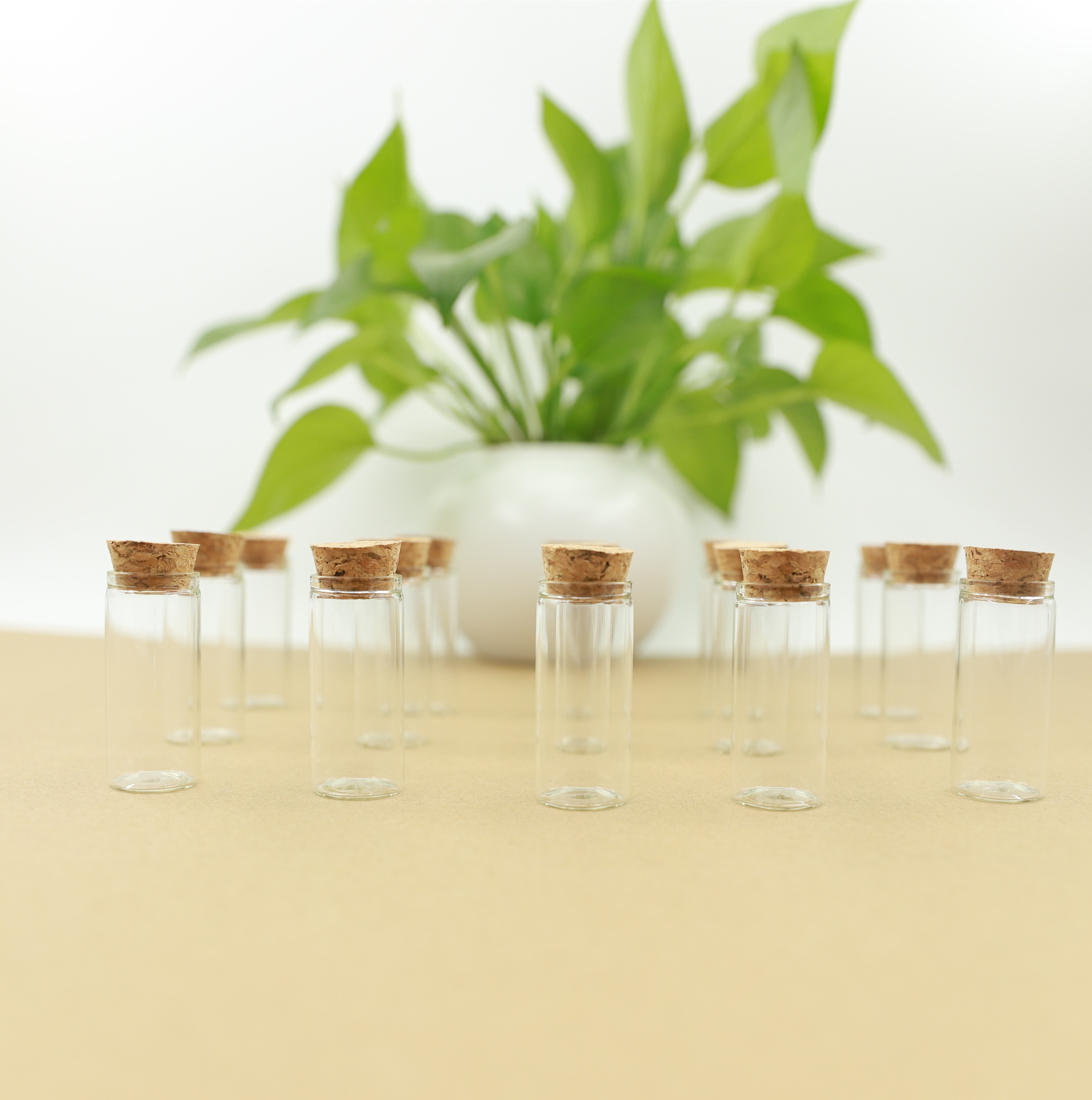 50pcs 22*50mm Cork Glass Mini Bottles Test Tube Stopper Spice Bottles Container Small DIY Jars Vials Tiny Bottle glass