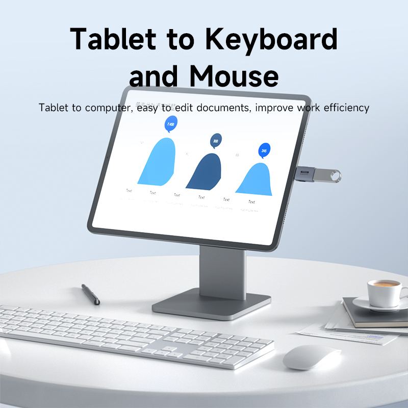 Hagibis USB to Type C OTG Adapter 10Gbps High-Speed Data Transfer USB C Male to A Female For Macbook Pro iPhone 16 iPad Tablet