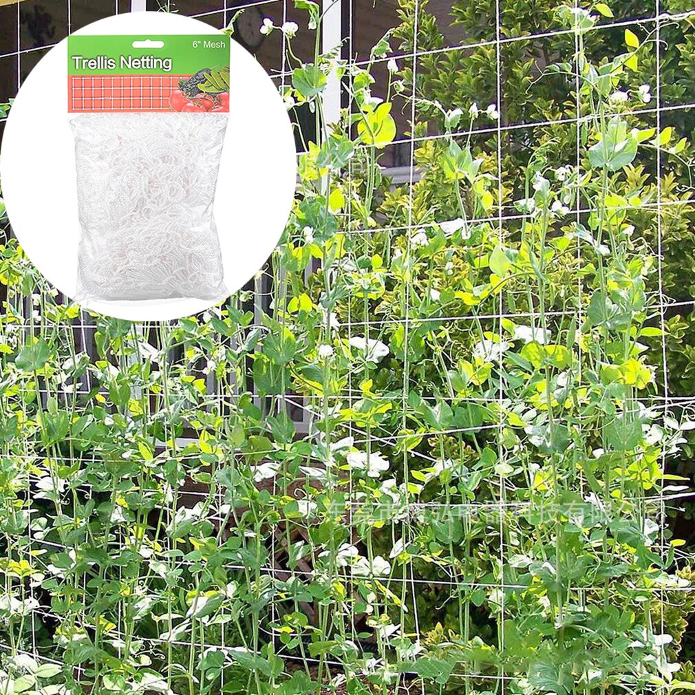 Hageplanter klatrenett polyesternett morgen ære vintreet nett støtte nettholder espalier netting flerbrukstilbehør
