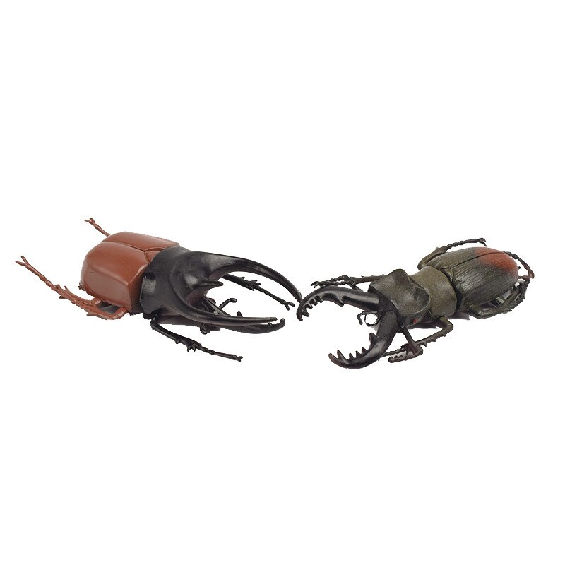5pcs 5.5/13cm Simulation Beetle Toys Special Lifelike Model Simulation Insect Toy Nursery Teaching Aids Joke Toys Gold Beetle