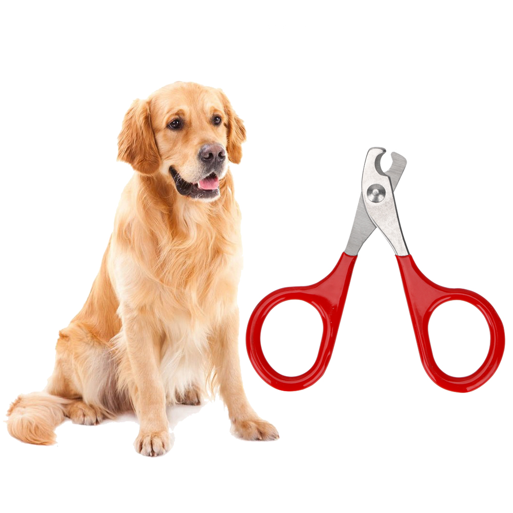 Claw Clippers Kat Cleaning Tools Huisdier Producten Huisdier Klauw Care Tools Hond Schaar Voor Nagels Grooming Schaar