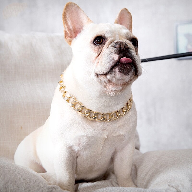 Collier de chien de colliers épais chaîne en or en plastique plaqué collier de sécurité identifié chiot chiens fournitures 36cm / 45cm