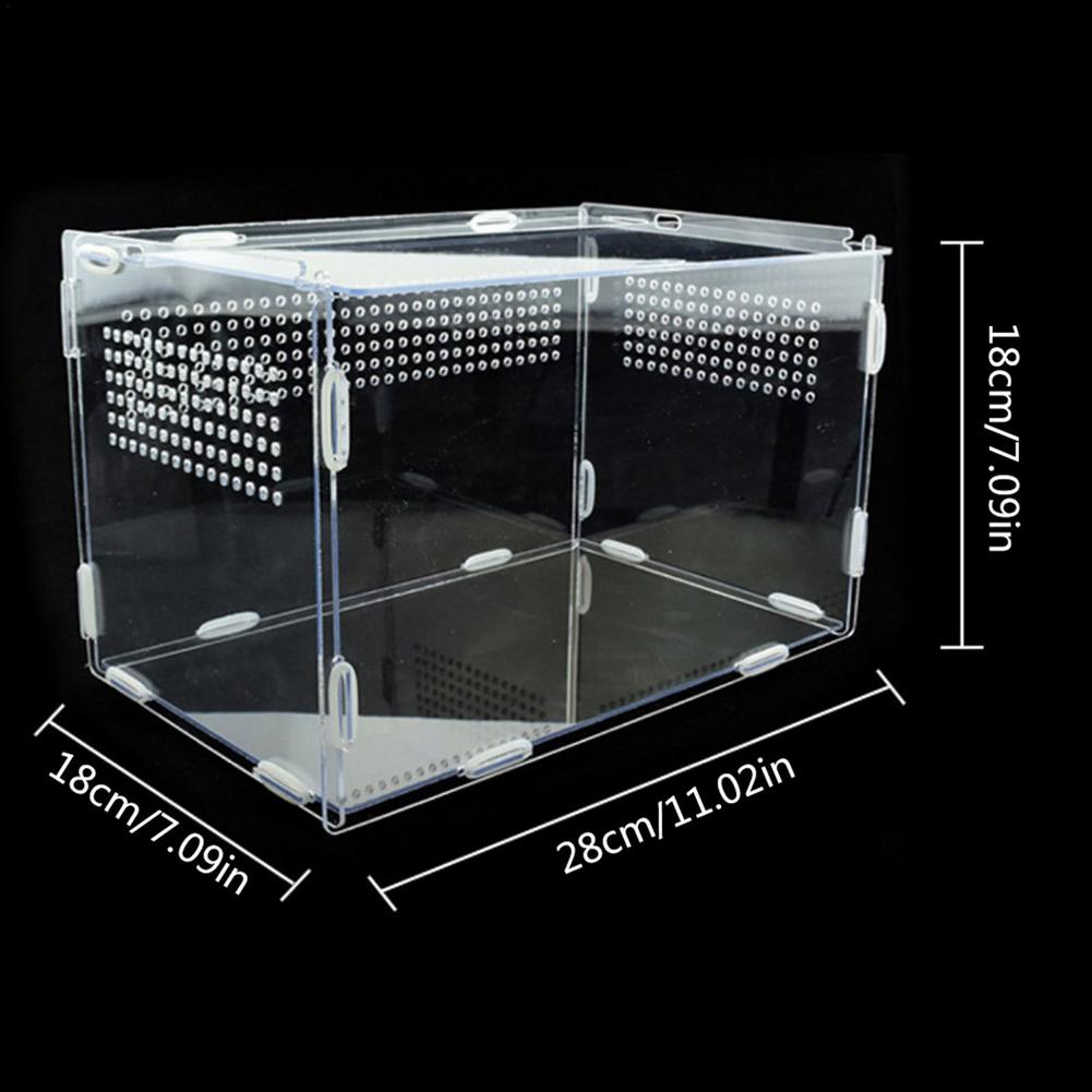 Caixa ornamental de terrário camaleão, para répteis, lagarto, centípede, aranha, caixa transparente, suprimentos para animais de estimação: L