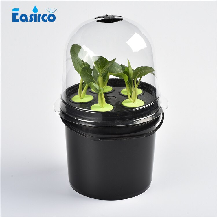 Invernadero de campana (paquete de 5pcs-)