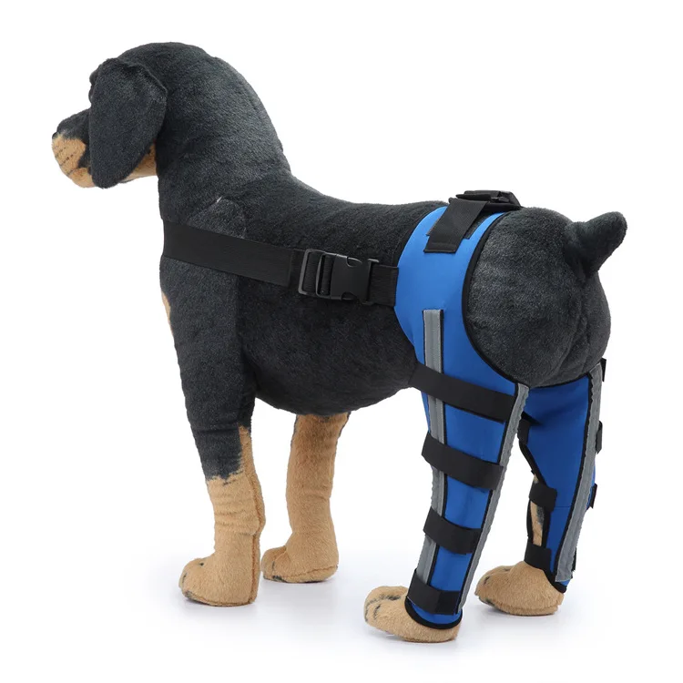 Pet Puppy Knee Pads Dog Back Leg Braces for Injured Dogs Support Brace Injury Joint Wrap Recover Protector Dog Accessories: M / Blue