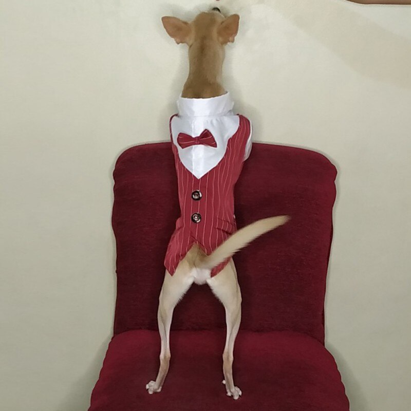 Gentleman Dog Clothes Wedding Suit Formal Shirt For Small Dogs Bowtie Tuxedo Pet Outfit Costume For Cats Spring And Summer Suits