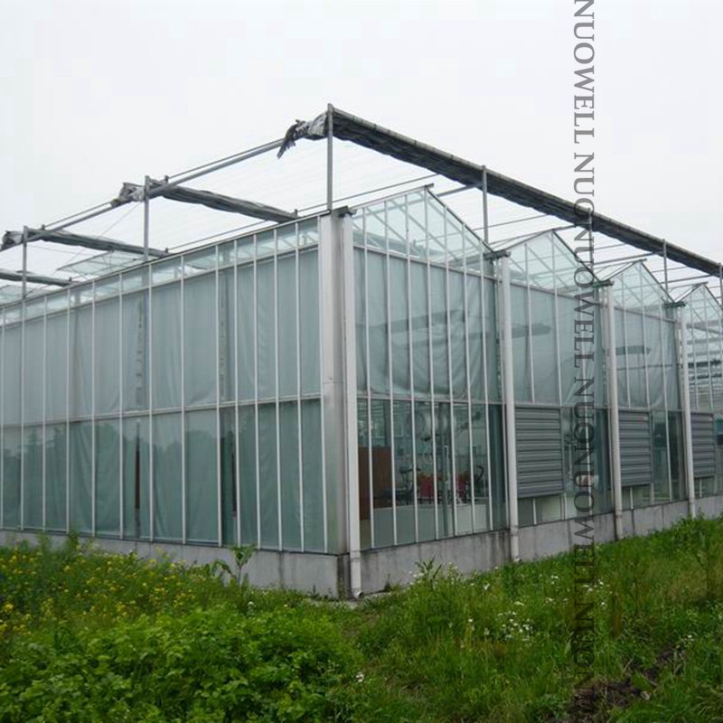 Tykkelse 0.1mm landbrugs drivhusfilm gårdafgrøder vegetabilsk plantedækning gennemsigtig presenningsfilmbredde :2m ~ 12m