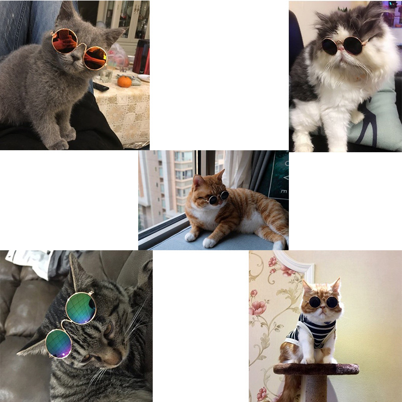 1 PC Pet Kat Hond Bril Schattige Ronde Bril Huisdier Producten Voor Kleine Hond Kat Eye-wear Hond Zonnebril foto's Huisdier Accessoires