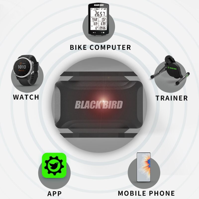 BLACKBIRD – capteur de Cadence CS1, compteur de vitesse, double Rpm, Bluetooth 5.0 ANT +, pour vélo de route et vtt, pour Garmin Zwift