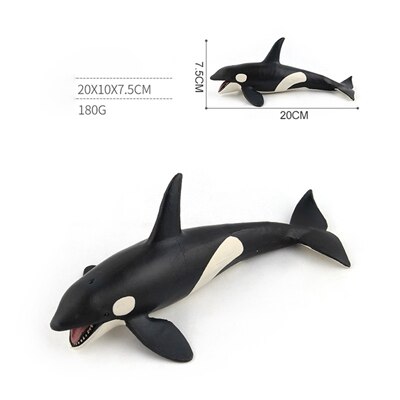 Classic Toys Whales Blue Whales Marine Animal Models Undersea Creatures Killer Sharks Whales Series Whale Toys: B