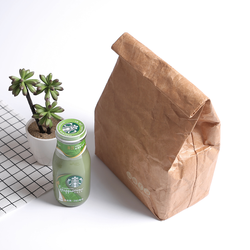 SANNE – sac en papier Kraft Tyvek, sac isotherme thermique, étanche et résistant aux déchirures, sac à déjeuner léger, Film d&#39;aluminium à l&#39;intérieur, 2 pièces/lot