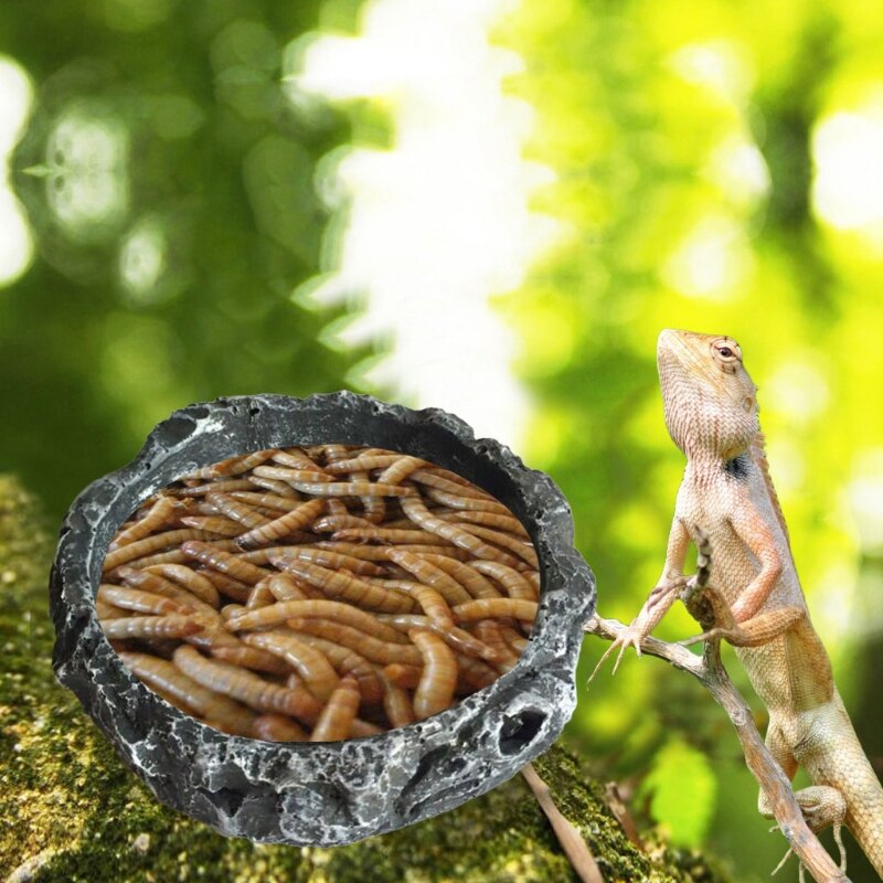 G5ab reptilskålar sköldpadda vattenskål rund matskål harts flyktsäker matare för små medelstora sällskapsdjur ödla leopardgecko