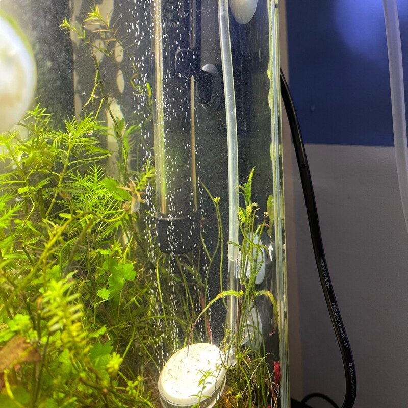 Quiet Tiny Bubbles Oxygen Diffuser Fish Tank Aerator Atomizer Aquarium Air Stone Round Ponds High Dissolved With 2 Suction Cup