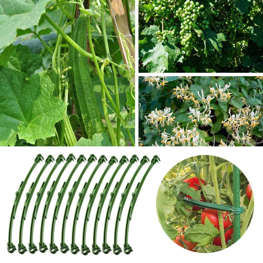 25.4cm Stake Arms For Tomato Cage Stake Arms Lightweight Adjustable Trellis Connectors For Climbing Plants Green 12PCS