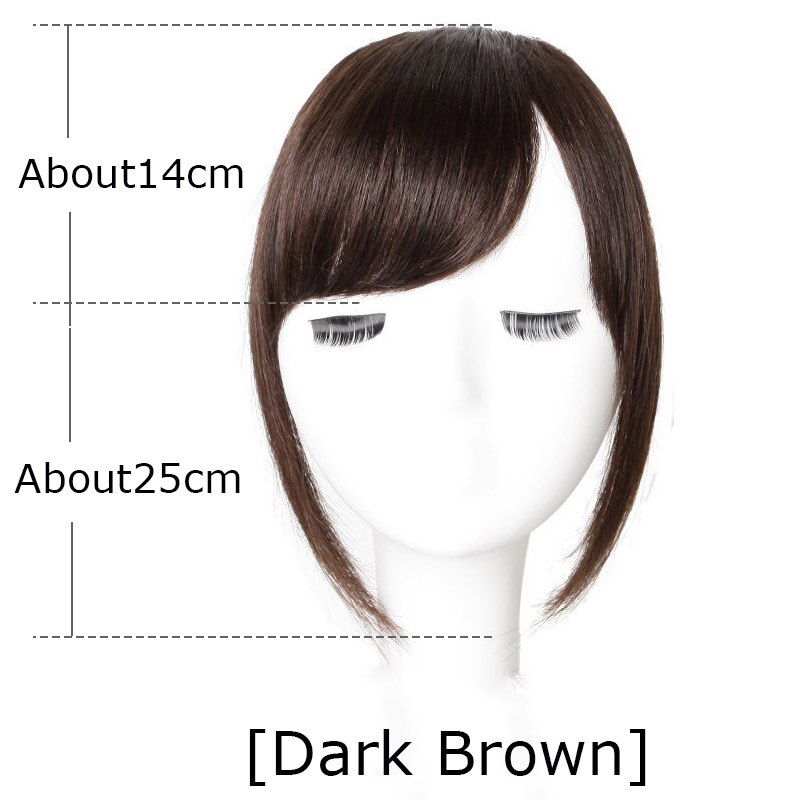 Long Bangs Clip In on Front Hair Bang Side Fringe Hair Extension Natural Synthetic Bangs Hair Accessories for Women: AL11-2-33