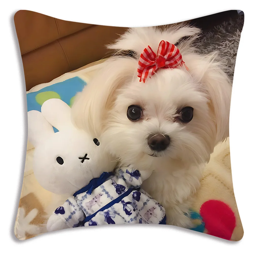 Fodere per cuscini per cani carini Divano dei cartoni animati Federa decorativa per la casa Stampa Fodera per cuscino carina