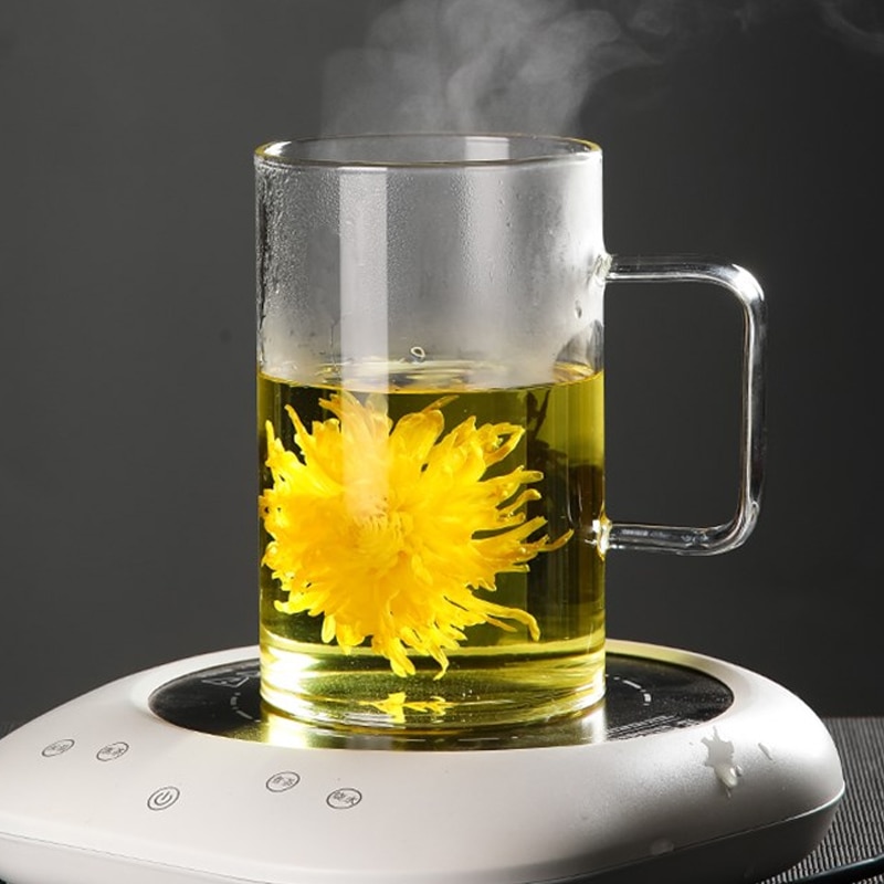 1000ML High Borosilicate Lead Free Glass Large Capacity Cup High Temperature Resistant Simple Home Office Handle Cup with Lid