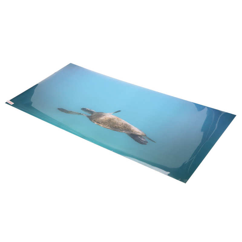 Aquarium Background Paper Clear Image Fish Tank Decoration Poster PVC for Underwater