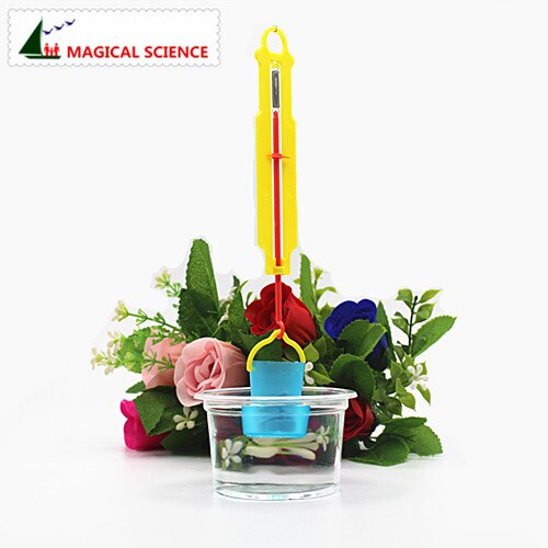 Experimento de física divertido, material de bricolaje de flotabilidad de agua casera, kit educativo de escuela en casa, el mejor para sus hijos,