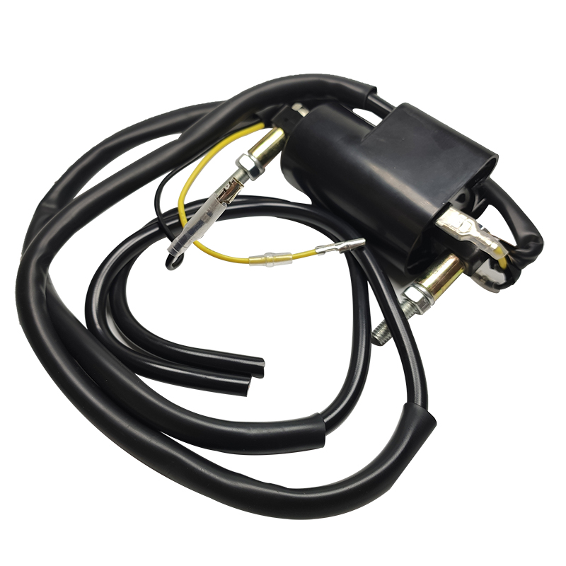 Bobine Set 12 Volt 12 V 4 Ohm Dual Output Bobine Voor Suzuki GS/GSX R /GV Madura Metal & Plastic