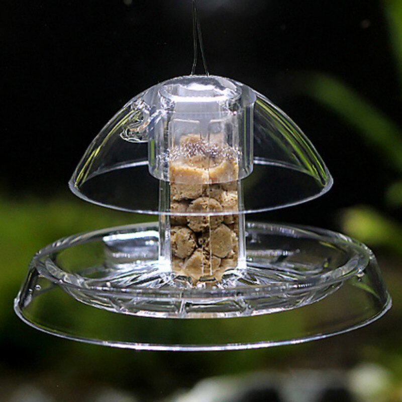 Piège à Escargots Aquarium - Capteur d'Escargots pour Plantes - Environnement Clair Plastique Planaires Sangsues