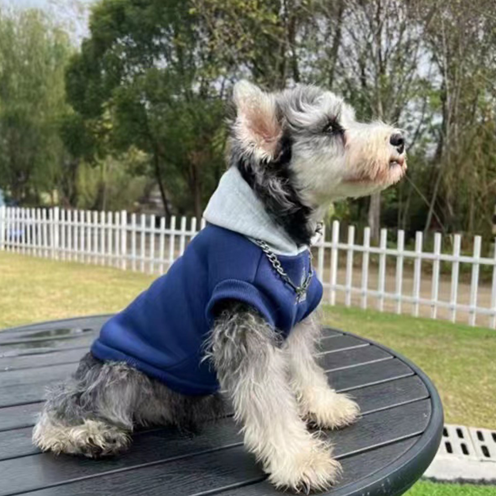 Dog Hoodie Winter Warm Dog Clothes Soft Sweatshirt Small Medium Dogs Coat Cold Weather Dog Clothing French Bulldog Chihuahua
