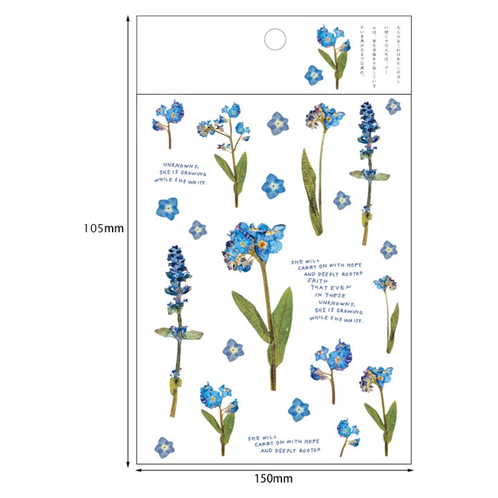 Kokorosa12 Designs Natural Daisy Clover Japanese Words Stickers Transparent PET Material Flowers Leaves Plants Deco Stickers: Brown