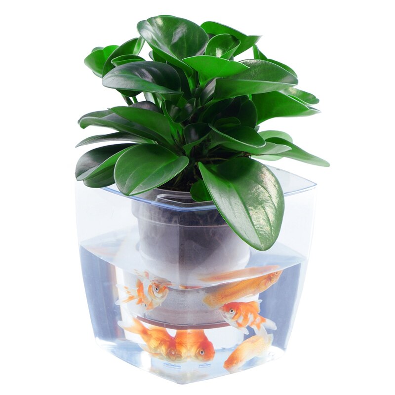 Ecologische aquarium bloempot tafelmodel gras plantenbak plastic bloempot geometrisch aquarium
