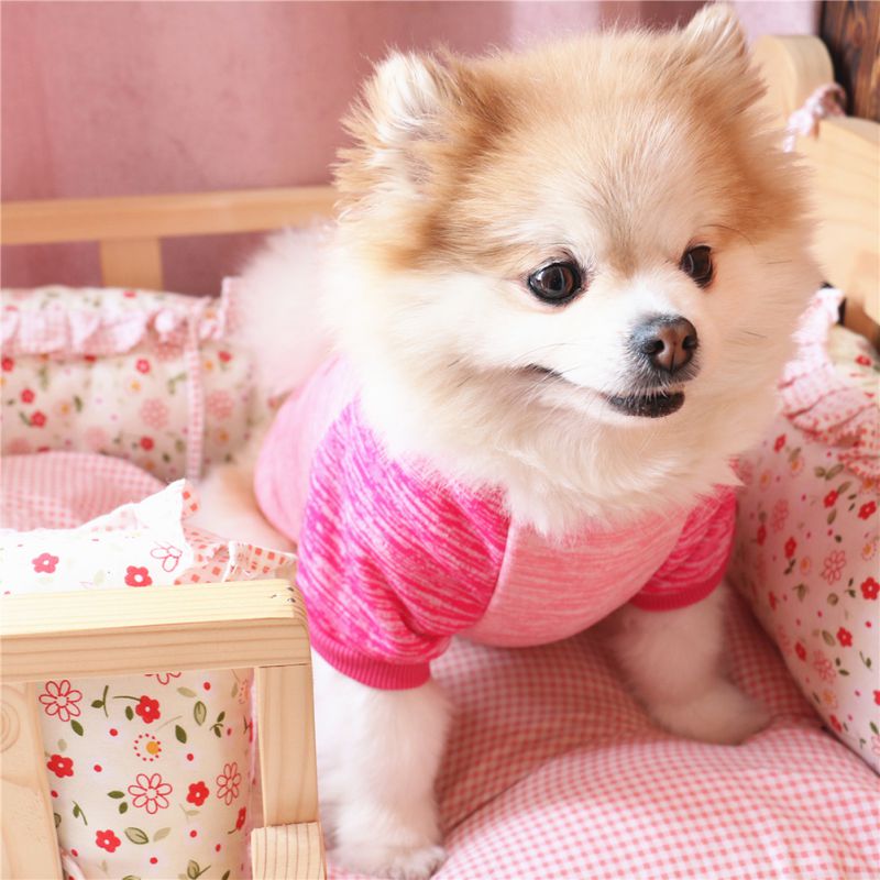 Hund Herbst Und Winter Lumpen Fleece Warme Pullover Rosa Haustier Hund Liefert Hoodies Warme Kleidung Komfortable Hoodies Für Puppie