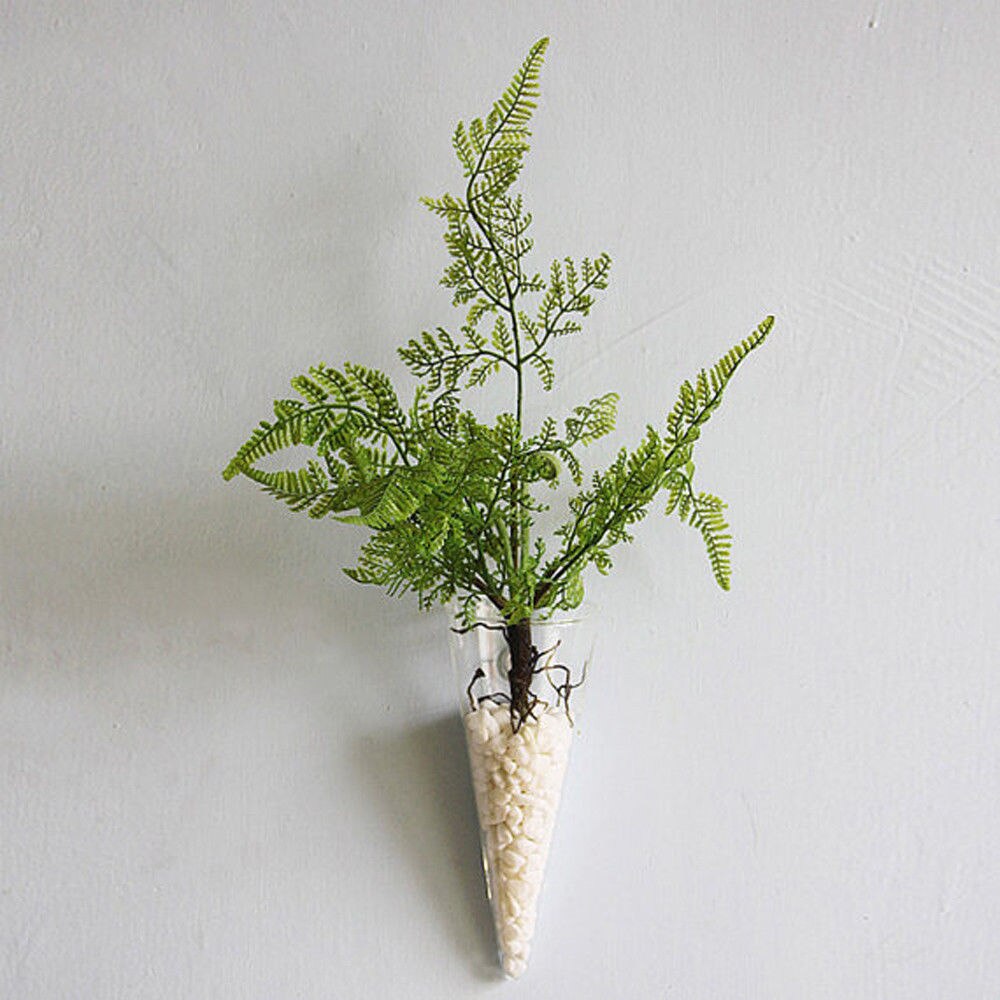CSS Cone Hanging Glass Flower Planter Vase Terrarium Container Home Garden Decor