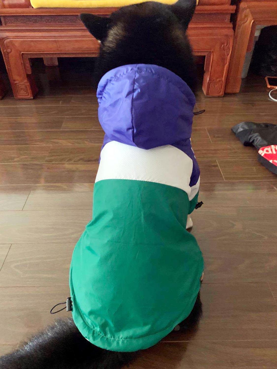 Outdoor Waterproof Jacket For Puppy Raincoat For Dogs Big Dog Clothes Akita Labrador Pet Coat Sport Hoodies For Dog Cats pug