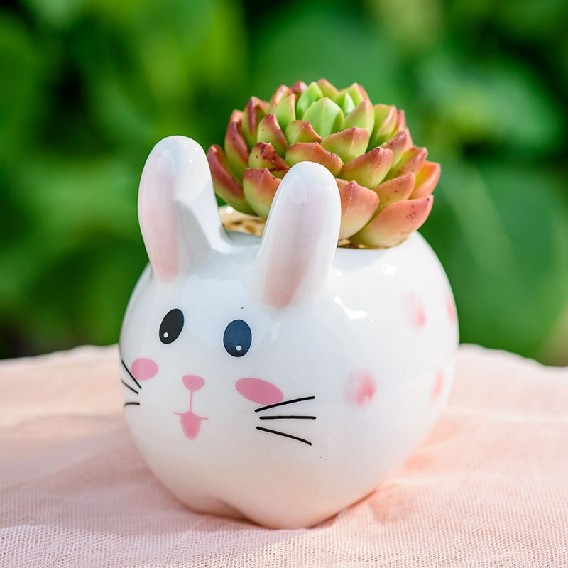 Petit pot de fleurs charnu en céramique, joli petit lapin, décoration de bureau, de bureau artisanaux