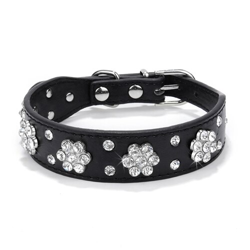 rhinestone pigg skinnhalsbånd krystall kjæledyr hundehalsbånd til små mellomstore hunder rosa rød blå svart: Svart / S
