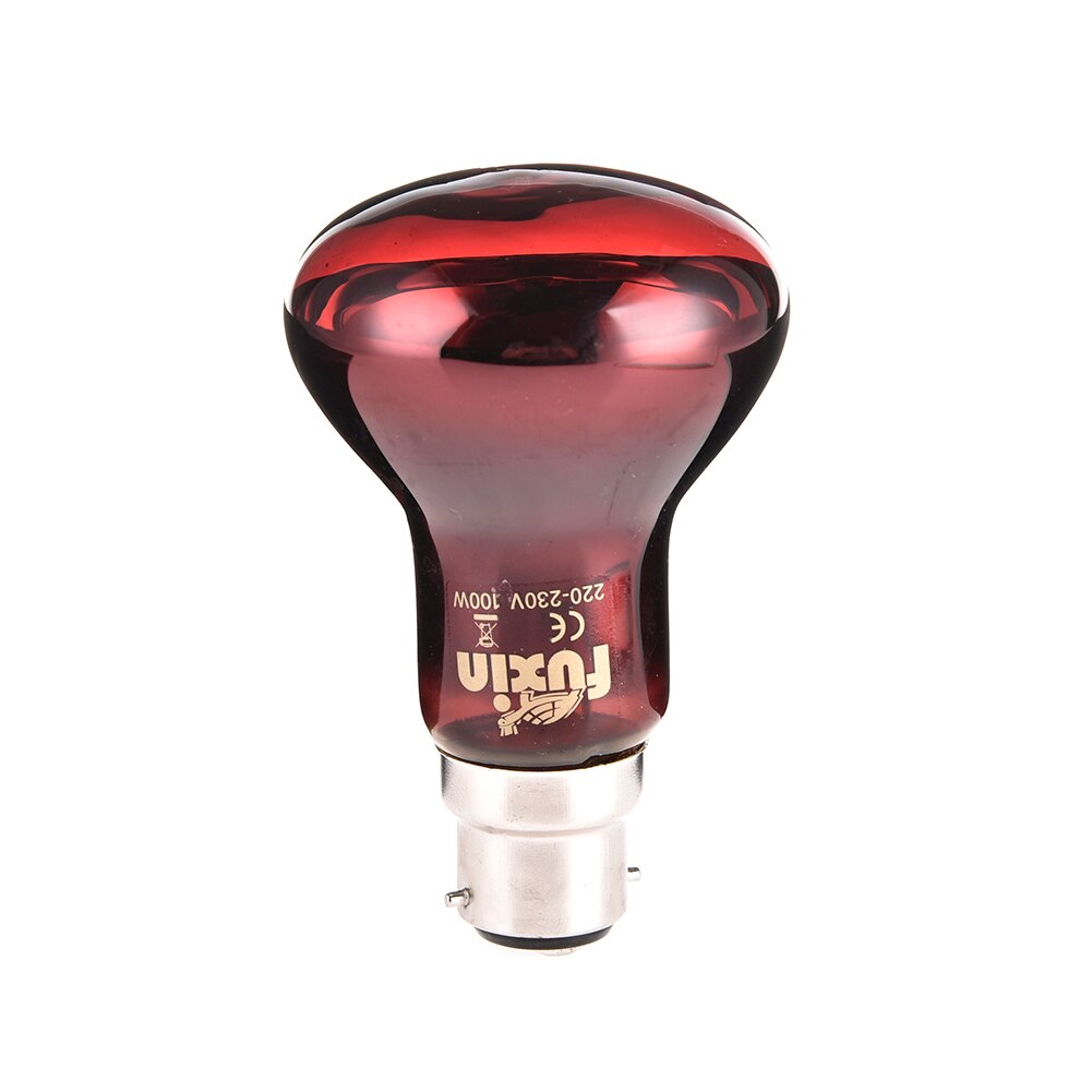 B22 Pet Reptile Heating Bulb Red Thermal Light Pet Brooder Lamp Night Light For Reptile and Amphibian 220-240V