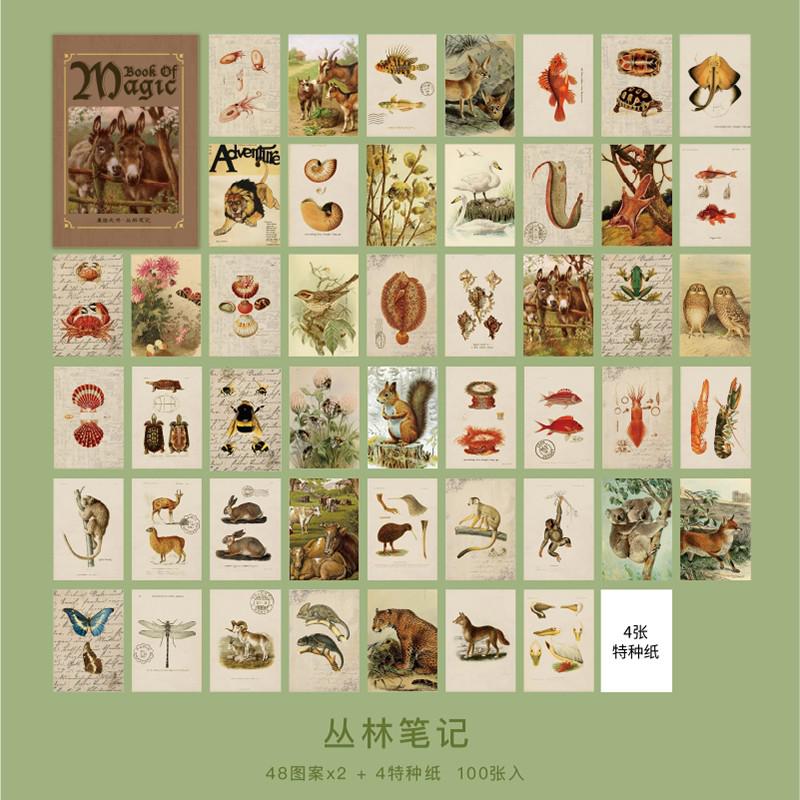 100 ark/paket vintage magisk bok tema anteckningsblock retro bärbart anteckningsblock journal scrapbook diy dekor material papper mini anteckning: C