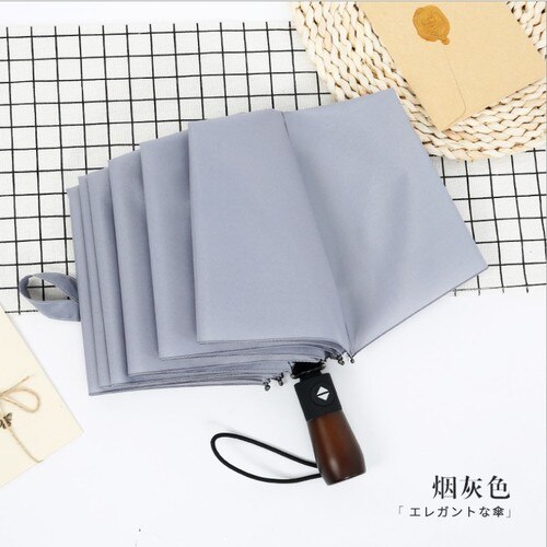 Academy Winddicht Mannen Draagbare Paraplu Reizen Outdoor Luxe Automatische Parasol Paraplu Regen Vrouwen Paraguas Ambrella BW50YS: style8