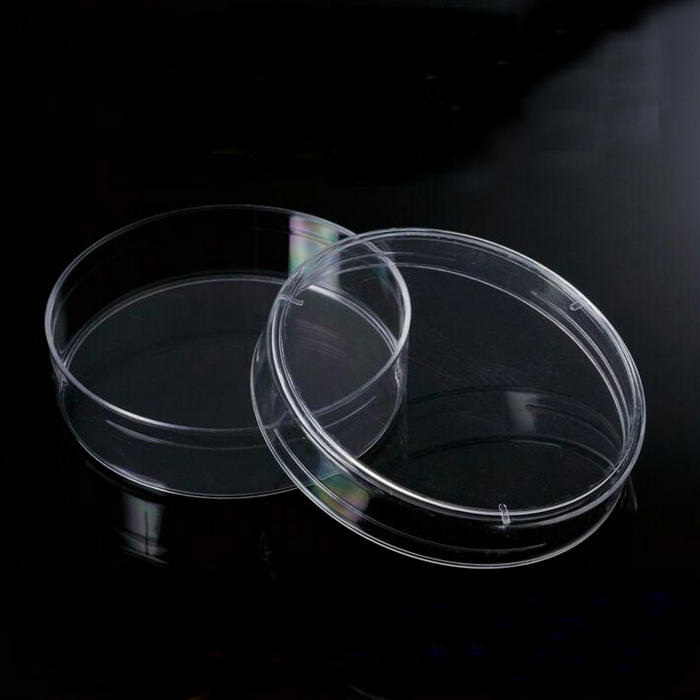 10 stks 30/60/70mm plastic petrischaal met cover Voor Lab Plaat Bacteriële Gist wetenschappelijke Supply